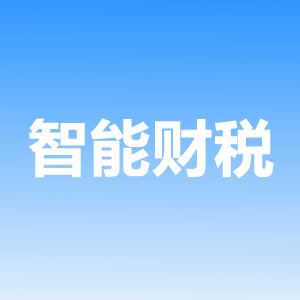 智能財稅系統